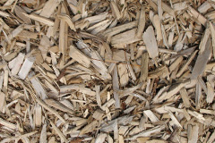 biomass boilers Sterte